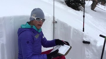 Layer Identification and Hand Hardness