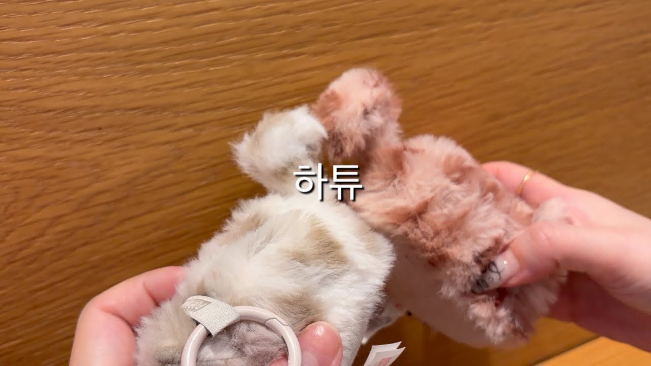 랜덤깡 언박싱을 좋아하는 자 (Goodbye. 2025)