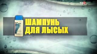 Шампунь для лысых. Без обмана Шампунь для лысых. Без обмана