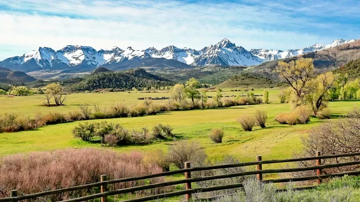 Country Life