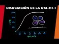 Curva de disociación de oxihemoglobina 1 - [visita mi Podcast y aprende Medicina mientras descansas]