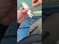 Kanama Smart Bait Mini -Revive Your litter Dead Baitfish🎣