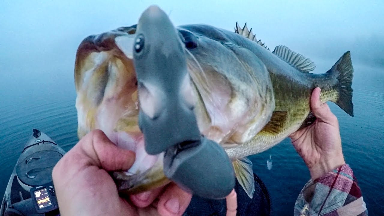 Big Bass Can’t Resist The Rat Lure!