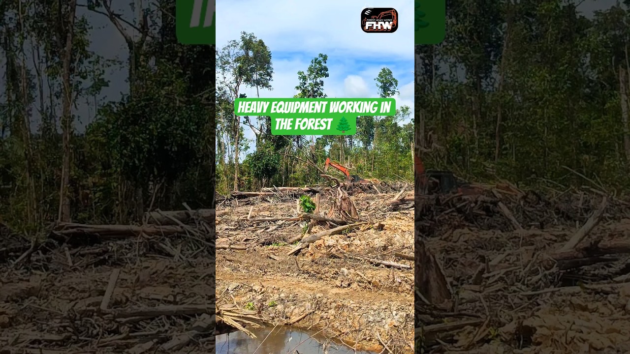 Heavy equipment working in the forest 🌲 