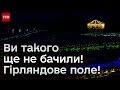 🎄 Неймовірна краса! Гірляндове поле та новорічні ялинки в Києві та Одесі