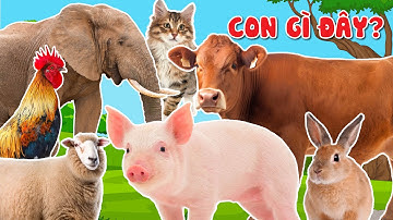 Learn Animal Names with Kids | What is this? #animals #cuteanimals #learning #animal #learnenglish