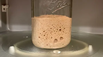 Can I use my sourdough starter if it smells like acetone?