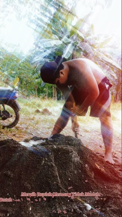 Short || Status Wa || Story Wa Motivasi Hidup || Pejuang Rupiah || Viral || Terbaru || Trending