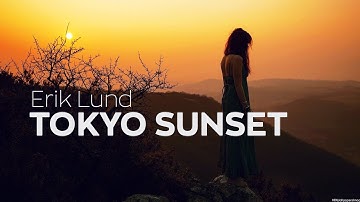 Erik Lund - Tokyo Sunset