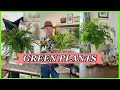 INTERIOR DESIGN / Decorating With Plants Inside The House /  Ramon At Home