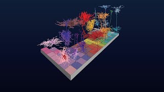 Cell Type Taxonomies A to Z: The techniques behind Cell Type Knowledge Explorer