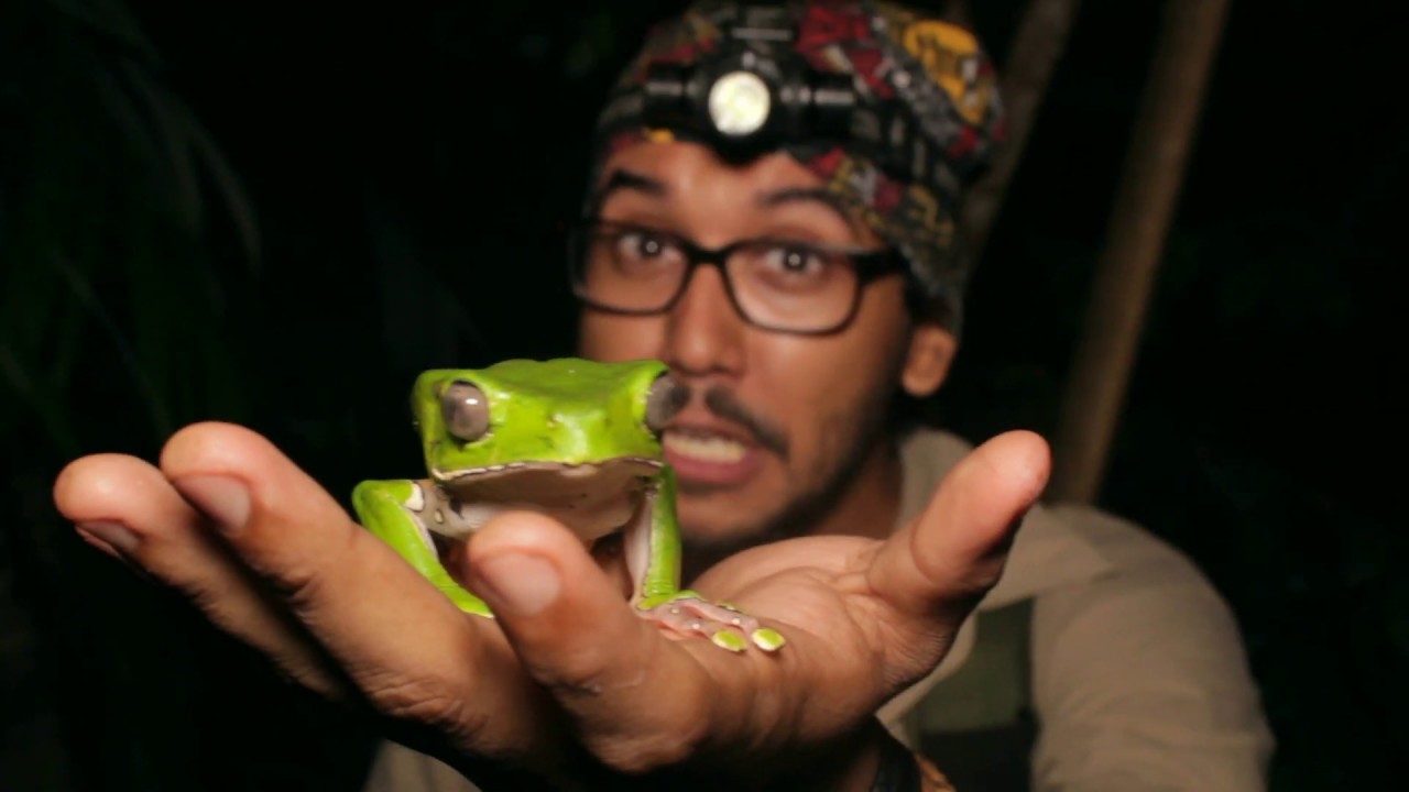 kambo - YouTube