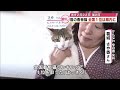 別府市の旅館の猫「全国看板猫ランキング」1位に輝く 見事な「人ったらし」ぷりで宿泊客をメロメロに