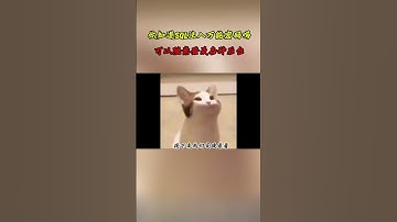 NINJA OMEGA SEC  |  什么是SQL注入万能密码？无需账号密码让你直接登录网站后台！ #黑客 #网络安全 #渗透测试