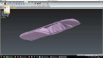 demo 3DReshaper  volume DUTCH