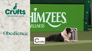 Obedience  Champion Dog and Reserve Dog Display | Crufts 2024