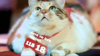 11818 Çağatay - Hukuk Legal Reklamı