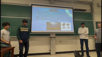 Stochastic Evolution Across Mutation Rates - Columbia QBio Final