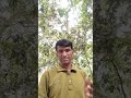 ভারতের মুসলমানদের প্রতি অন্যায়ের প্রতিবাদ