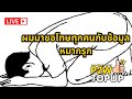 Crystal of Atlan | ผมมาขอโทษทุกคน เกี่ยวกับข้อมูลเซ็ทหมากรุกที่ผิดพลาดครับ !เติมเกม !หมากรุก