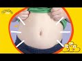 Aprende con Yakka Dee: Panza