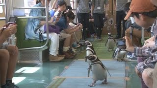 東武鉄道でペンギントレイン スカイツリー３周年で特別電車