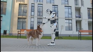 Understanding most Aggressive Dogs: Causes, Breeds, and Safe Handling Tips!