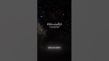 سورة العاديات بصوت القارئ عبد الرحمان مسعد
