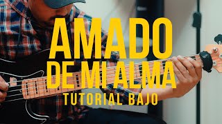 Video thumbnail of "AMADO DE MI ALMA - Tutorial BAJO"