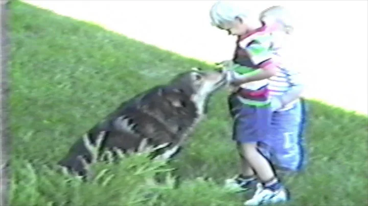 First Video Summer 1987