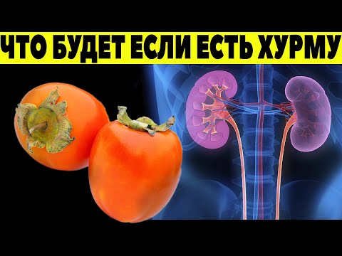 Вот что ХУРМА с Вами сделает, если есть его каждый день