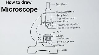 How To Draw Compound Microscope Drawing Easily Microscope Diagram Easy Methods