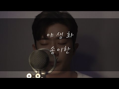 송이한 - 야생화(박효신)Cover