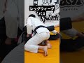 【柔術】レッグウィーブパス