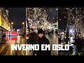 COMO É VIVER NO ESCURO DA NORUEGA: e como sobreviver