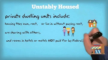 HUD HMIS Definition: Housing Status 3: Unstably Housed