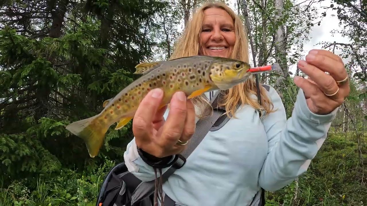 Ørretfiske i Femundselva