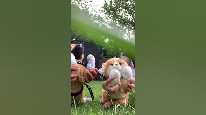 RIP the grass in the way! #music #song #happy #funny #hangingaround #catchy