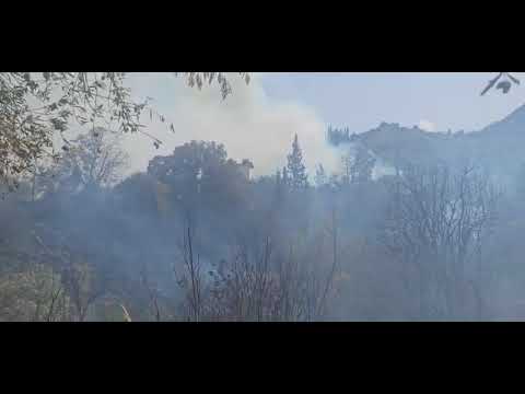 Πυρκαγιά Αιγιάλεια