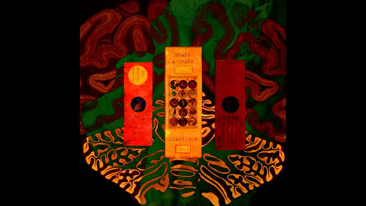 Glass Animals Golden Antlers (World Premiere Remix) YouTube