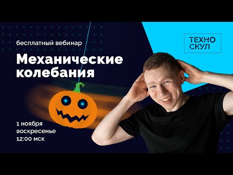 Механические колебания | ЕГЭ Физика | Николай Ньютон. Техноскул