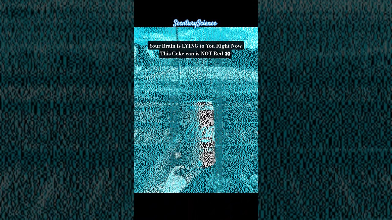 Your Brain is LYING to You Right Now! 