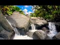 🎋 Japanese Zen River Music, Bamboo Flute, Meditation Sounds 🌊 Calm Sleep Ambience #nature #relax