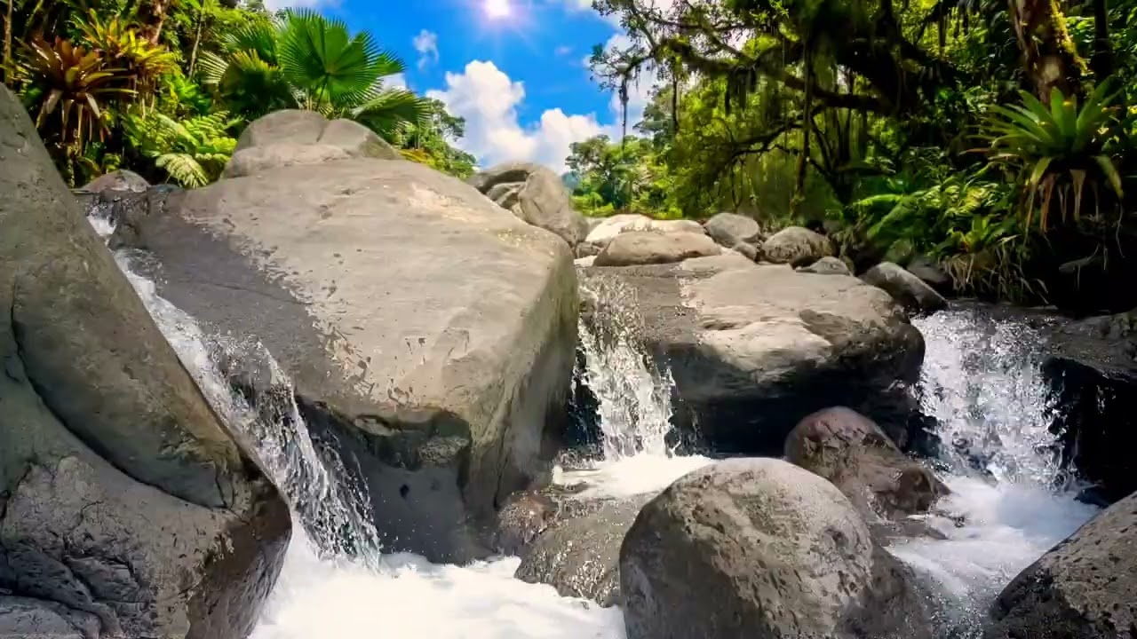 🎋 Japanese Zen River Music, Bamboo Flute, Meditation Sounds 🌊 Calm Sleep Ambience #nature #relax