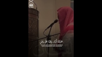 ﴿وَوَصَّينَا الإِنسانَ بِوالِدَيهِ﴾ من سورة لقمان بصوت القارئ احمد العبيد 🤎.