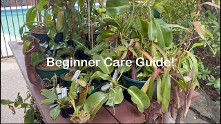 The Ultimate Nepenthes Care Guide for Beginners!