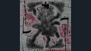 Permanent Disbelief - Ootheca