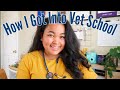 HOW I GOT INTO VET SCHOOL!! My Background, Stats and Advice