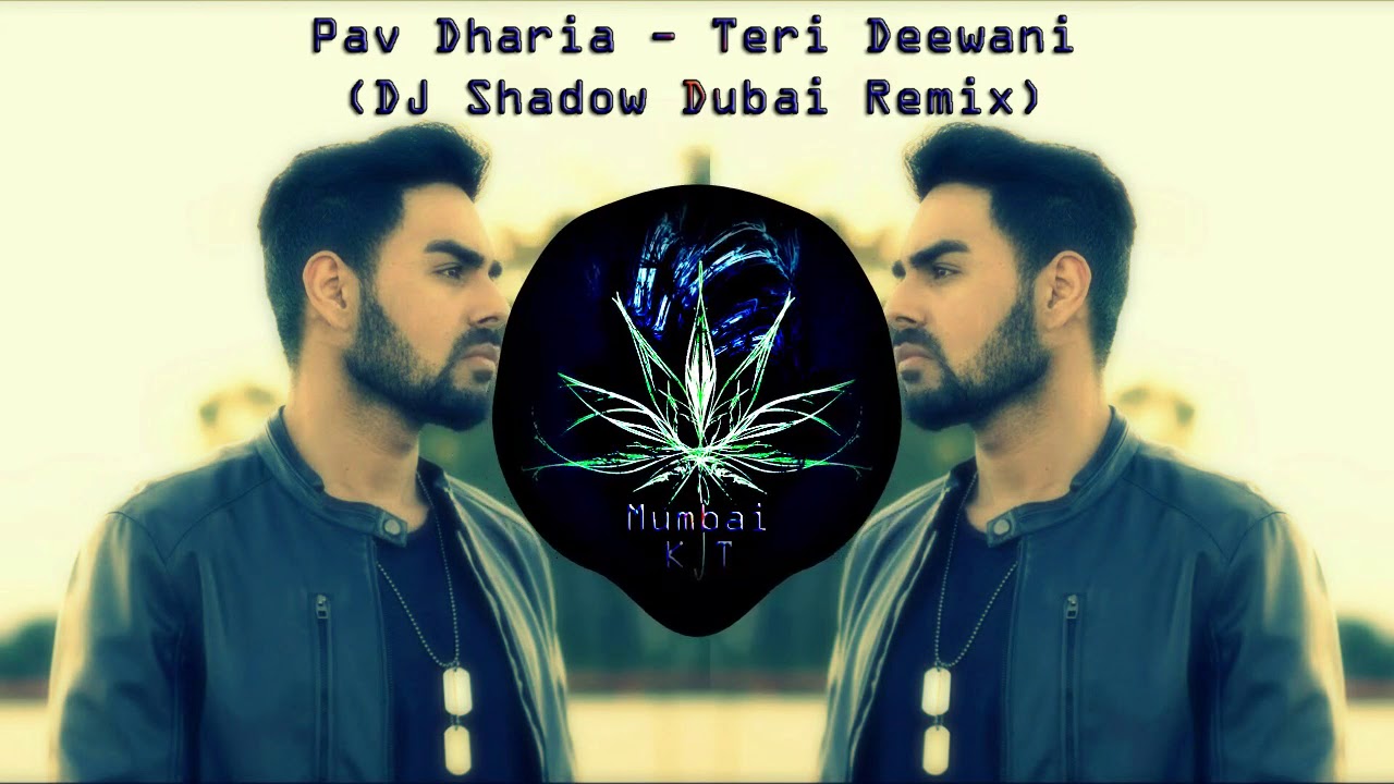 Pav Dharia  Teri Deewani DJ Shadow Dubai Remix