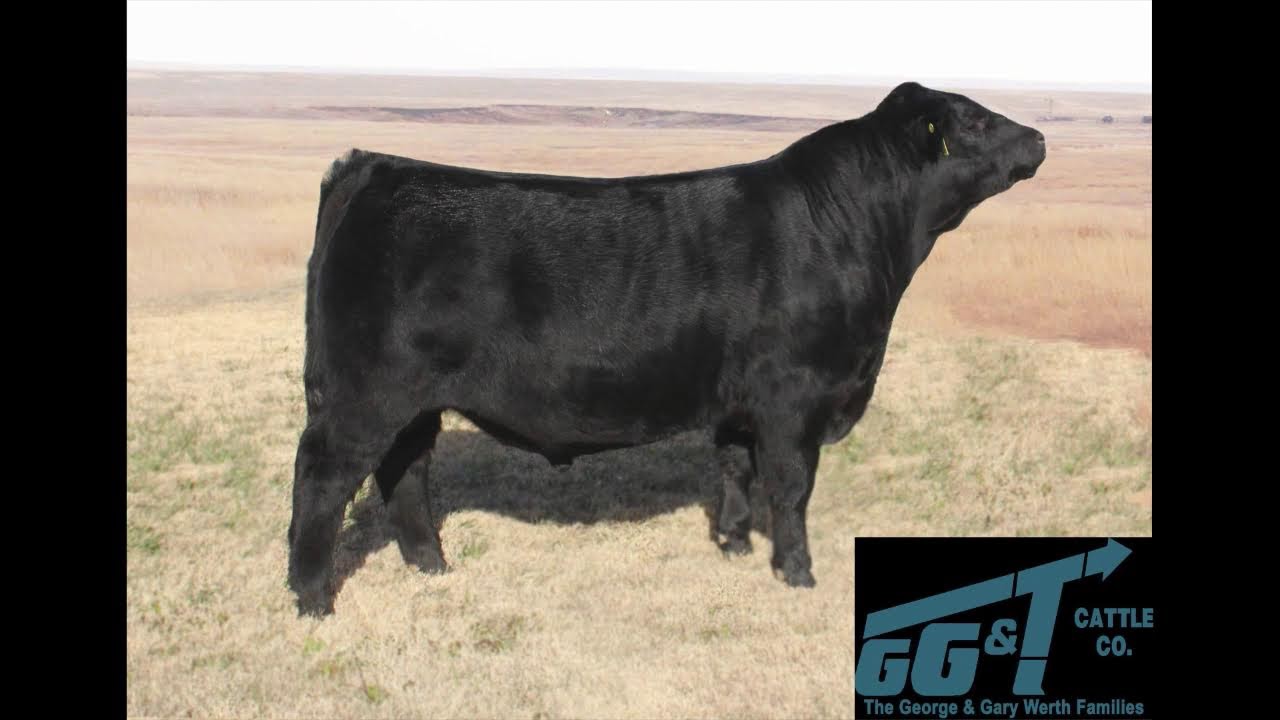 Castle Rock Classic Day 1 (Dec. 9, 2025)